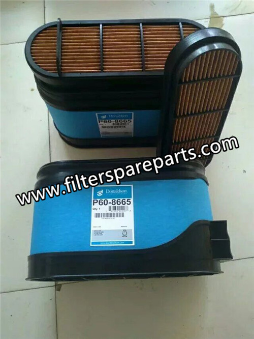 P608665 Donaldson Air Filter